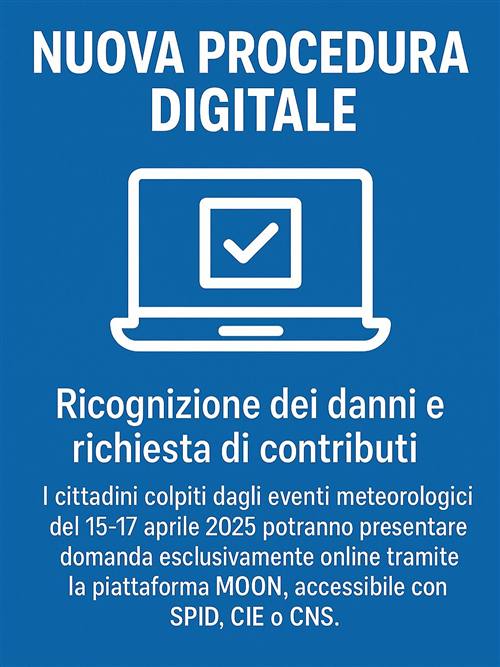 DIGITALE - Ricognizione dei danni e richiesta contributi
