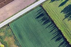 Elenco TERRENI oggetto di VARIAZIONI COLTURALI - 2025